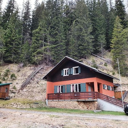 Auszeithuette Villa Flattnitz ภายนอก รูปภาพ