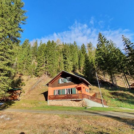 Auszeithuette Villa Flattnitz ภายนอก รูปภาพ