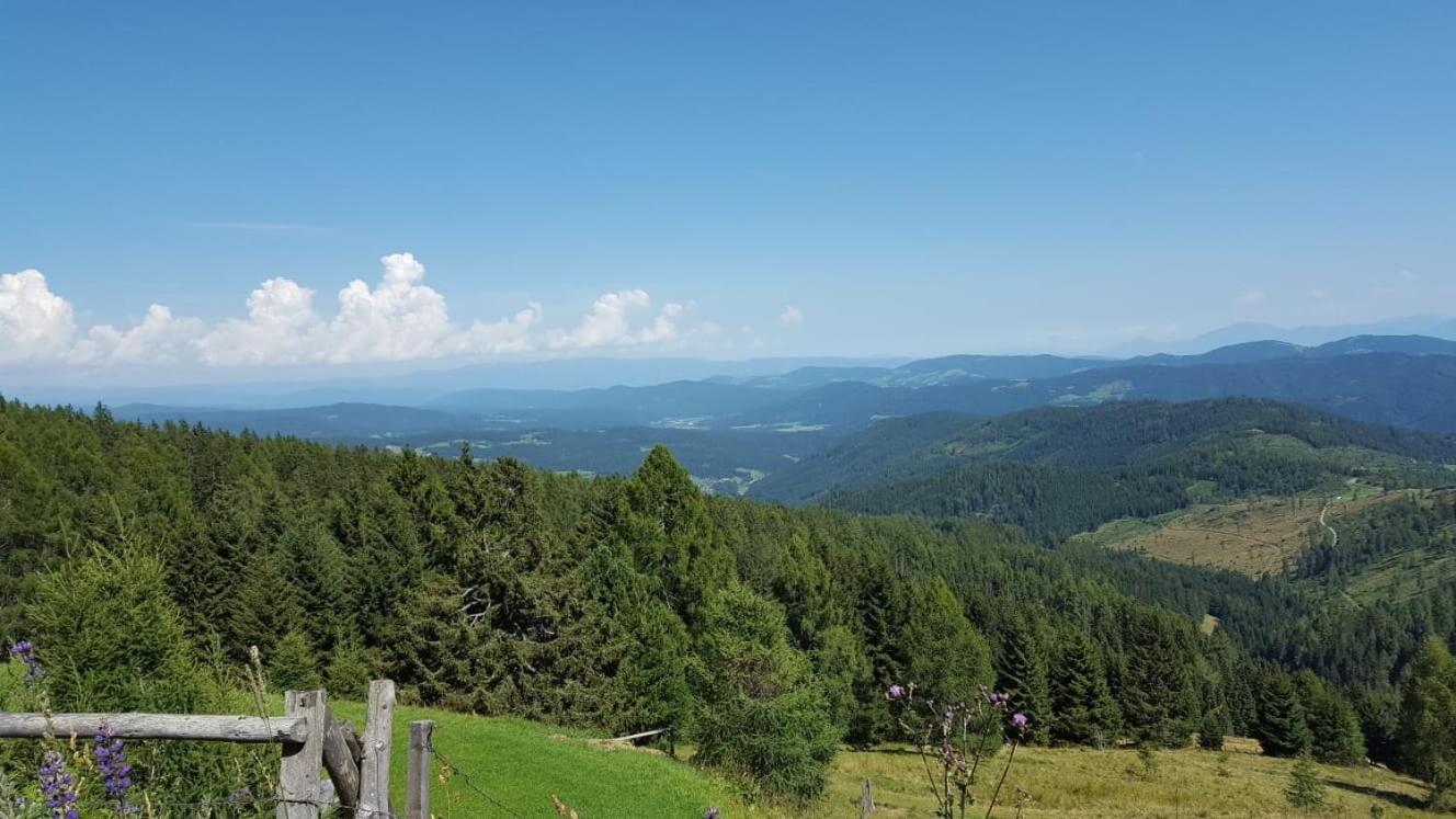 Auszeithuette Villa Flattnitz ภายนอก รูปภาพ